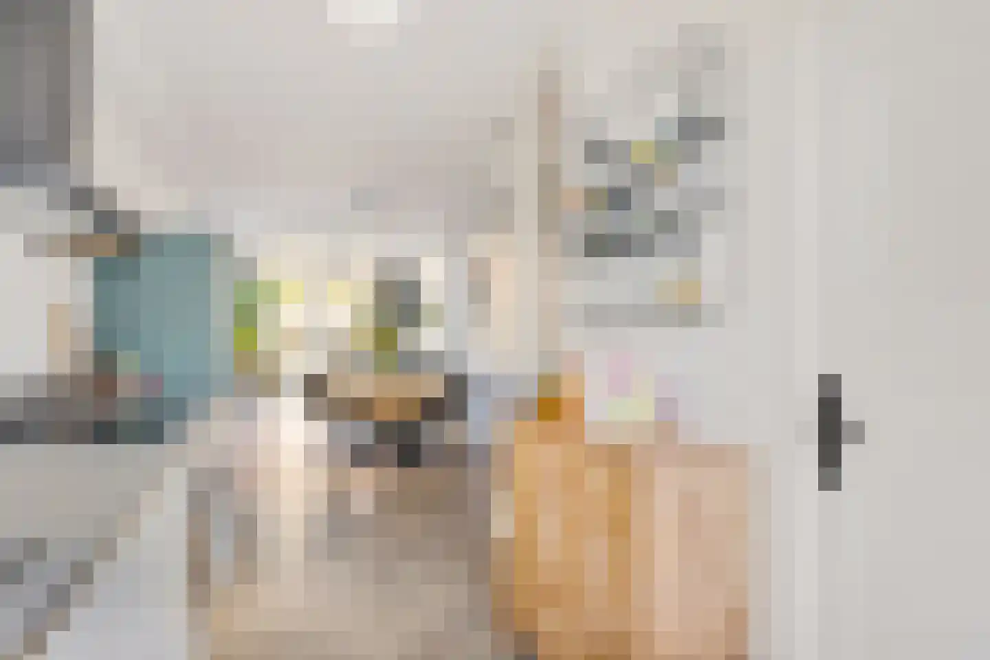 Korenbloemstraat 49 Utrecht thumbnail 13