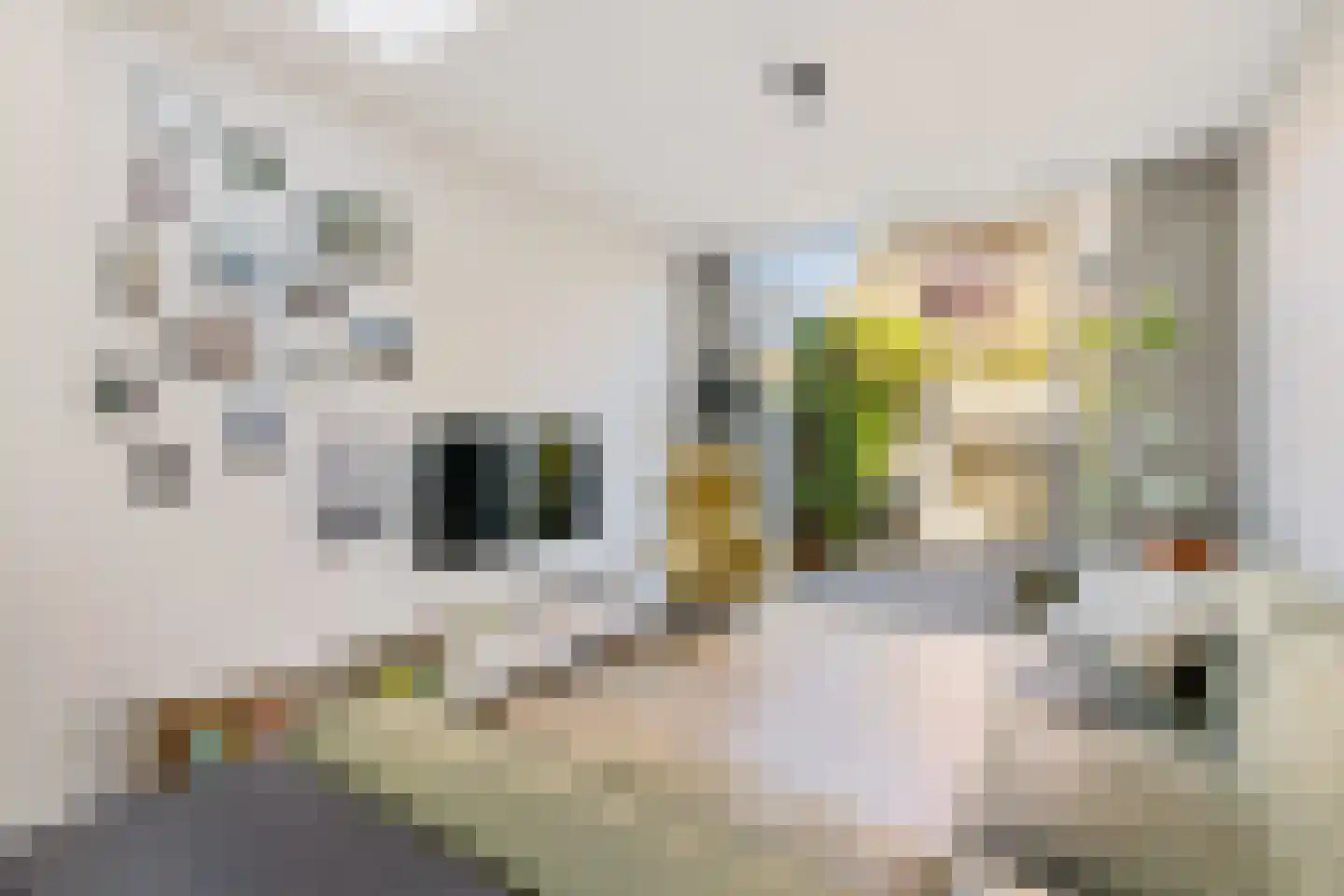 Korenbloemstraat 49 Utrecht thumbnail 17