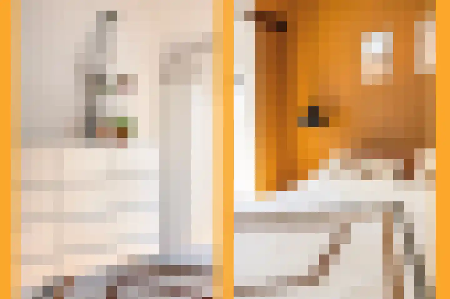 Korenbloemstraat 49 Utrecht thumbnail 28