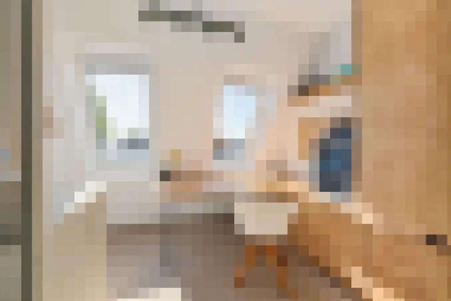 Korenbloemstraat 49 Utrecht thumbnail 37
