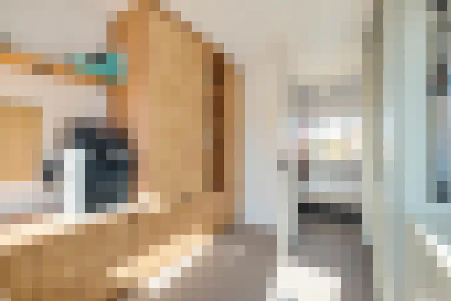 Korenbloemstraat 49 Utrecht thumbnail 38