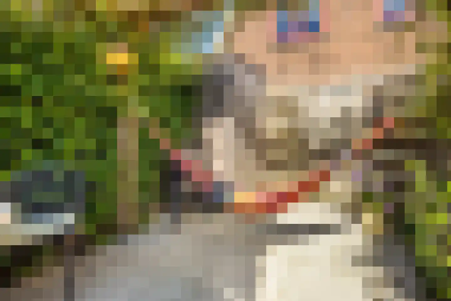 Korenbloemstraat 49 Utrecht thumbnail 43