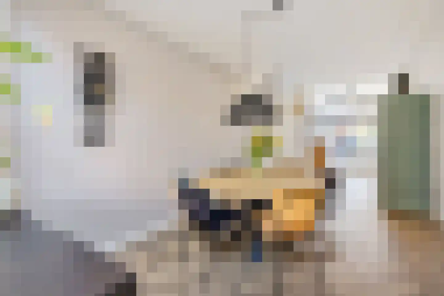 Korenbloemstraat 49 Utrecht thumbnail 7