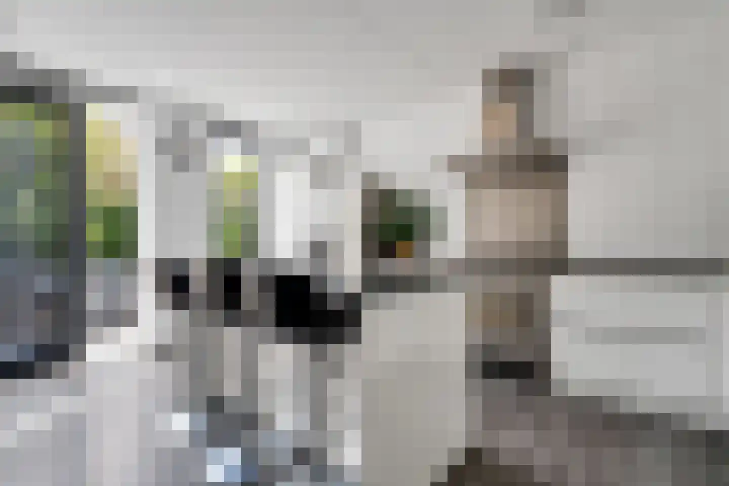 Korenbloemstraat 5 Enschede thumbnail 15