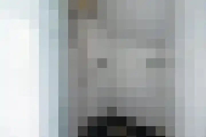 Korenbloemstraat 5 Vries thumbnail 21