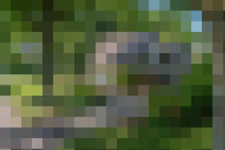 Korenbloemstraat 5 Vries thumbnail 28