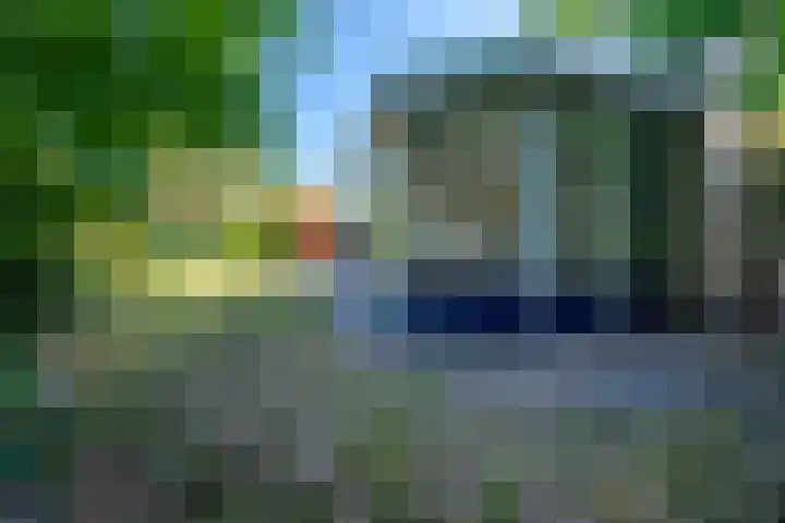 Korenbloemstraat 5 Vries thumbnail 34