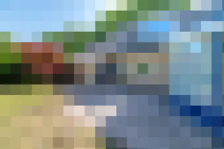 Korenbloemstraat 5 Vries thumbnail 35