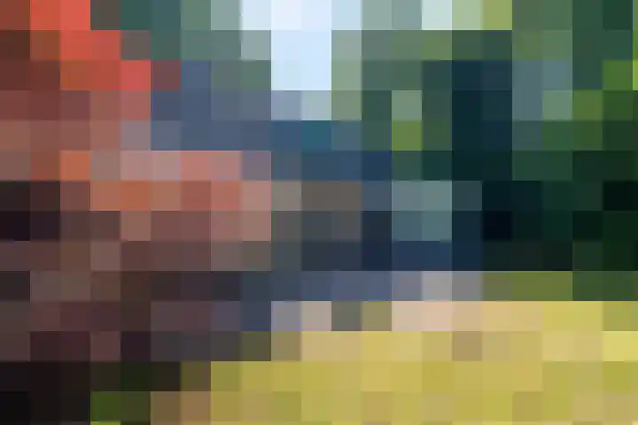 Korenbloemstraat 5 Vries thumbnail 36