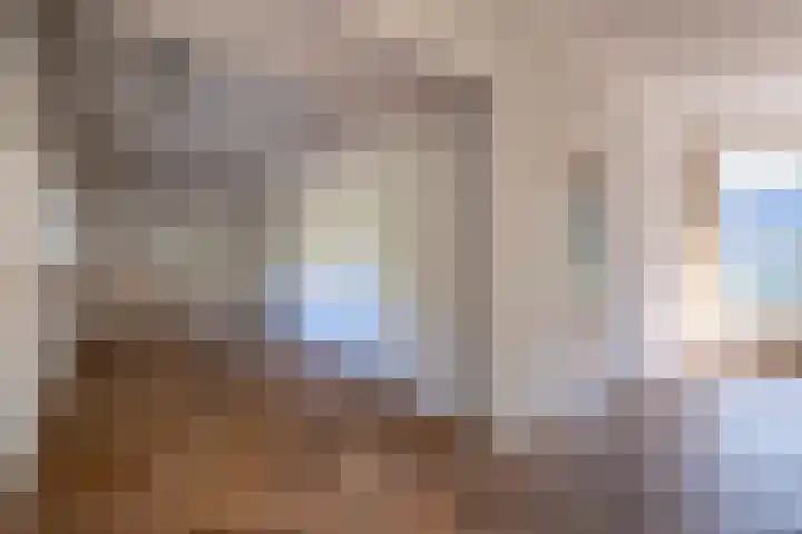 Korenbloemstraat 5 Vries thumbnail 6