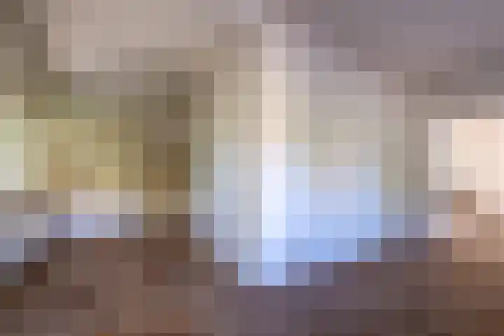 Korenbloemstraat 5 Vries thumbnail 8
