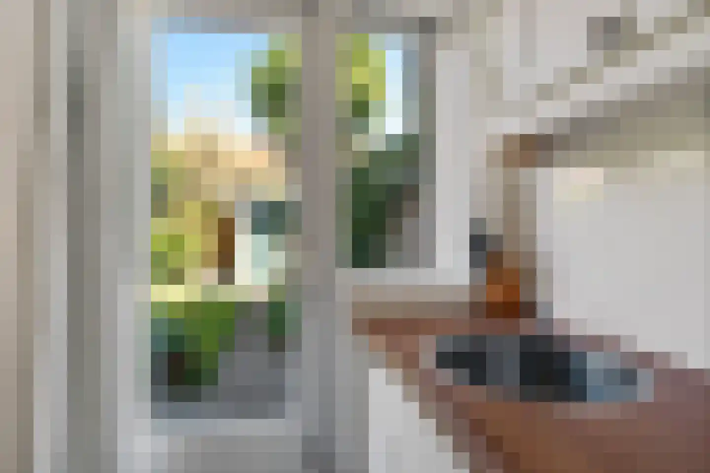 Korenbloemstraat 5 Zwolle thumbnail 10