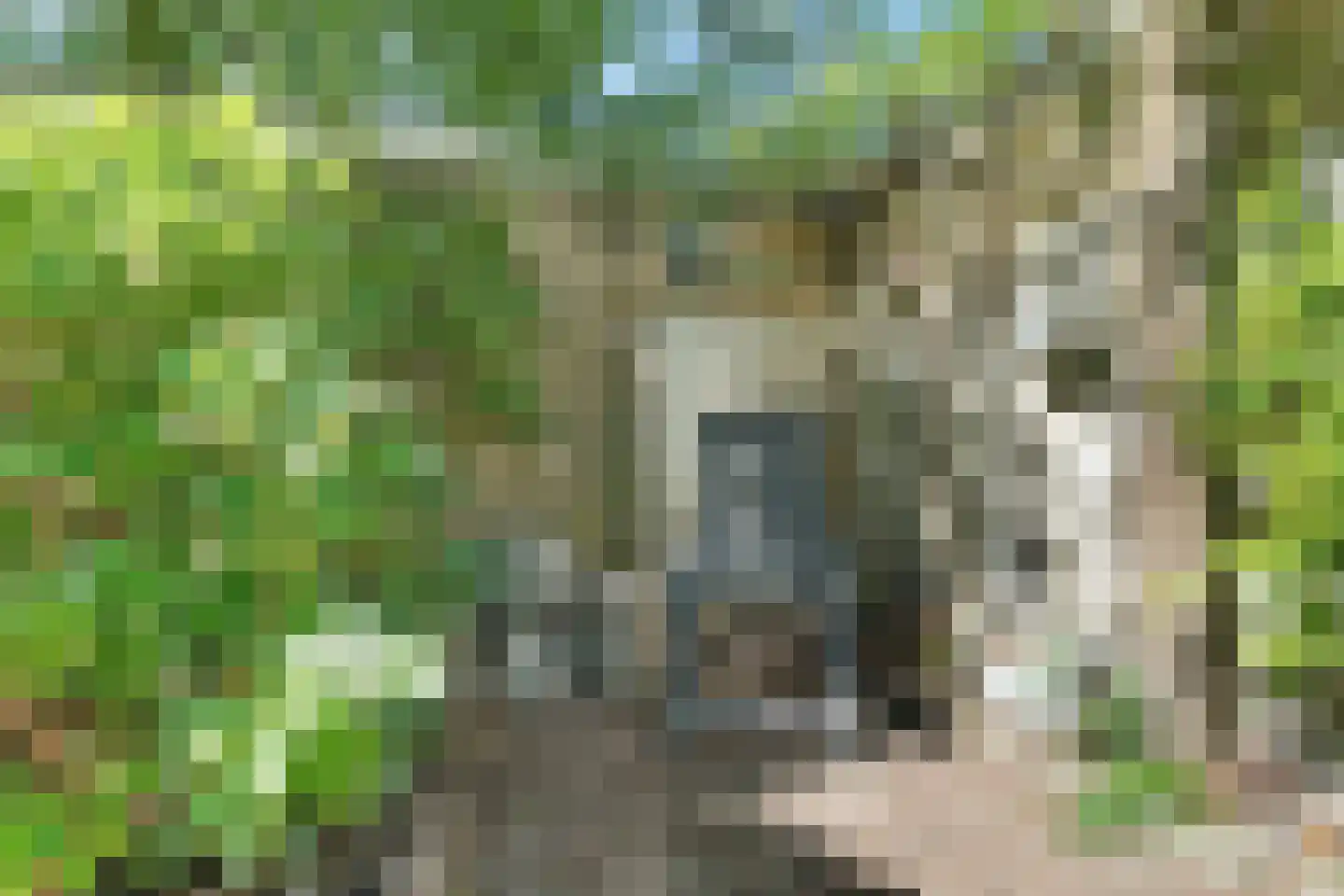 Korenbloemstraat 5 Zwolle thumbnail 33