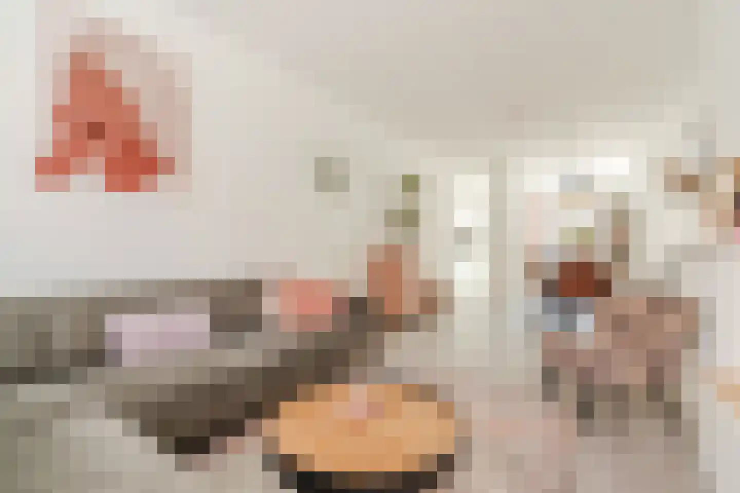 Korenbloemstraat 50 Eindhoven thumbnail 12