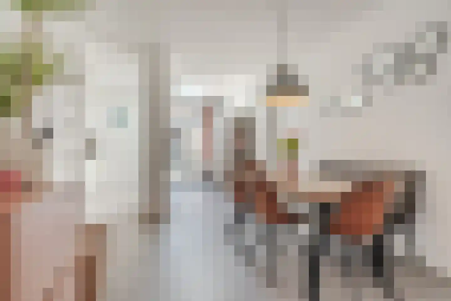 Korenbloemstraat 50 Eindhoven thumbnail 14