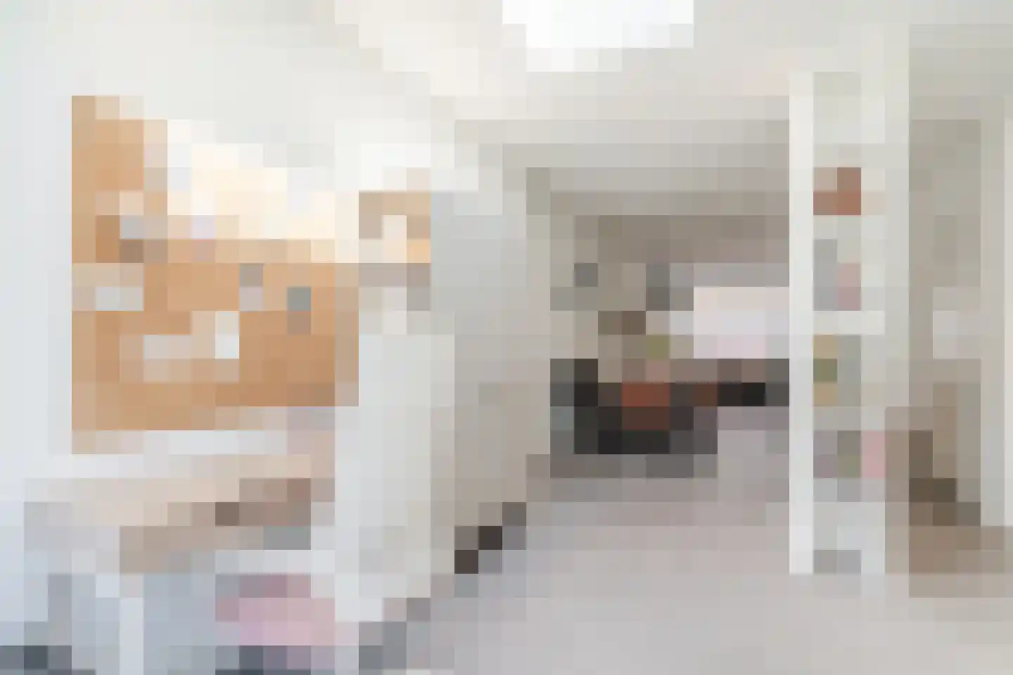 Korenbloemstraat 50 Eindhoven thumbnail 24