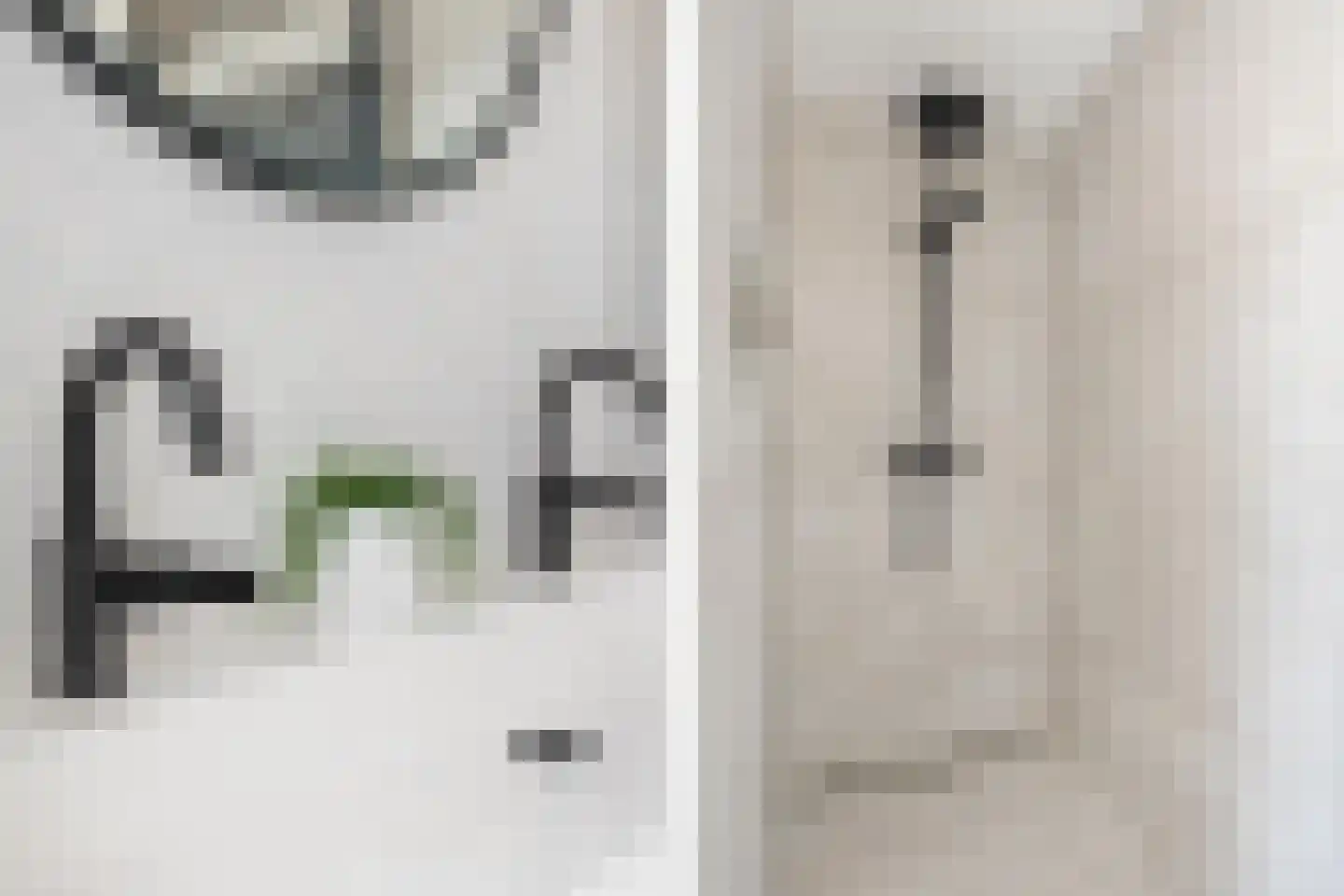 Korenbloemstraat 50 Eindhoven thumbnail 32