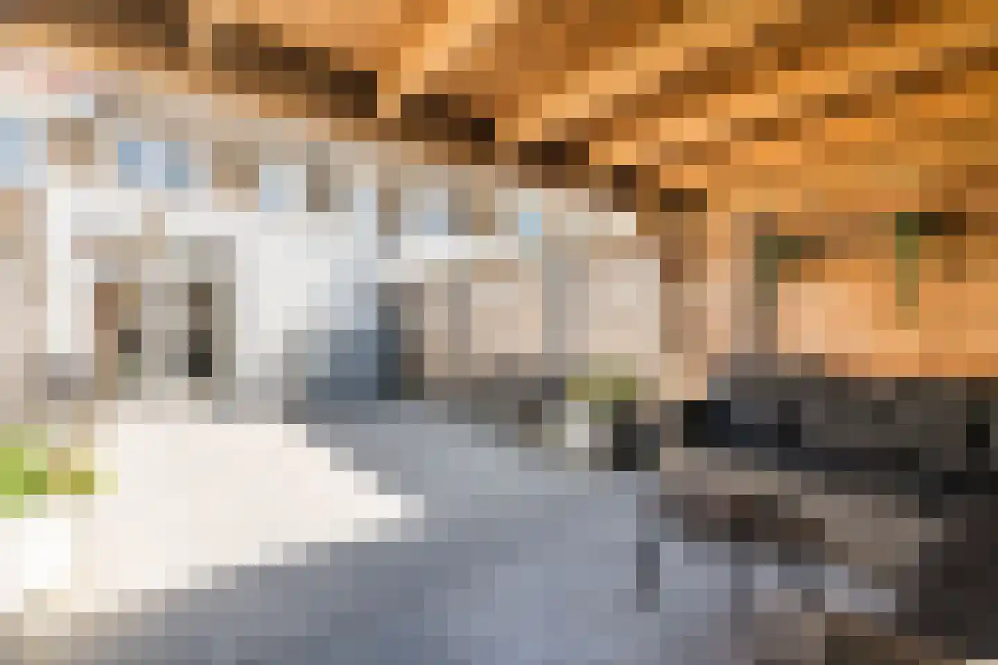 Korenbloemstraat 50 Eindhoven thumbnail 41