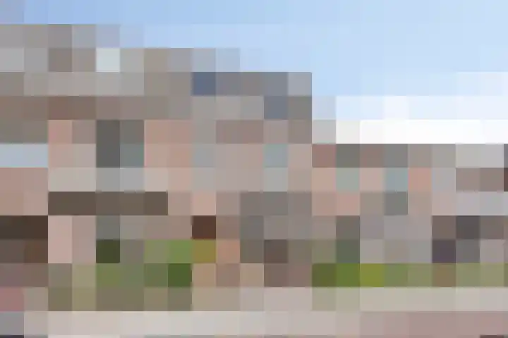 Korenbloemstraat 53 Tilburg thumbnail 32