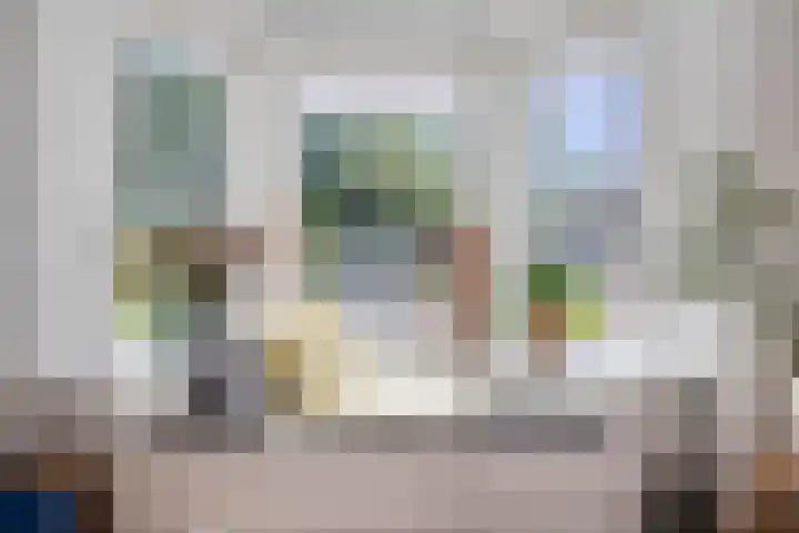 Korenbloemstraat 53 Tilburg thumbnail 4