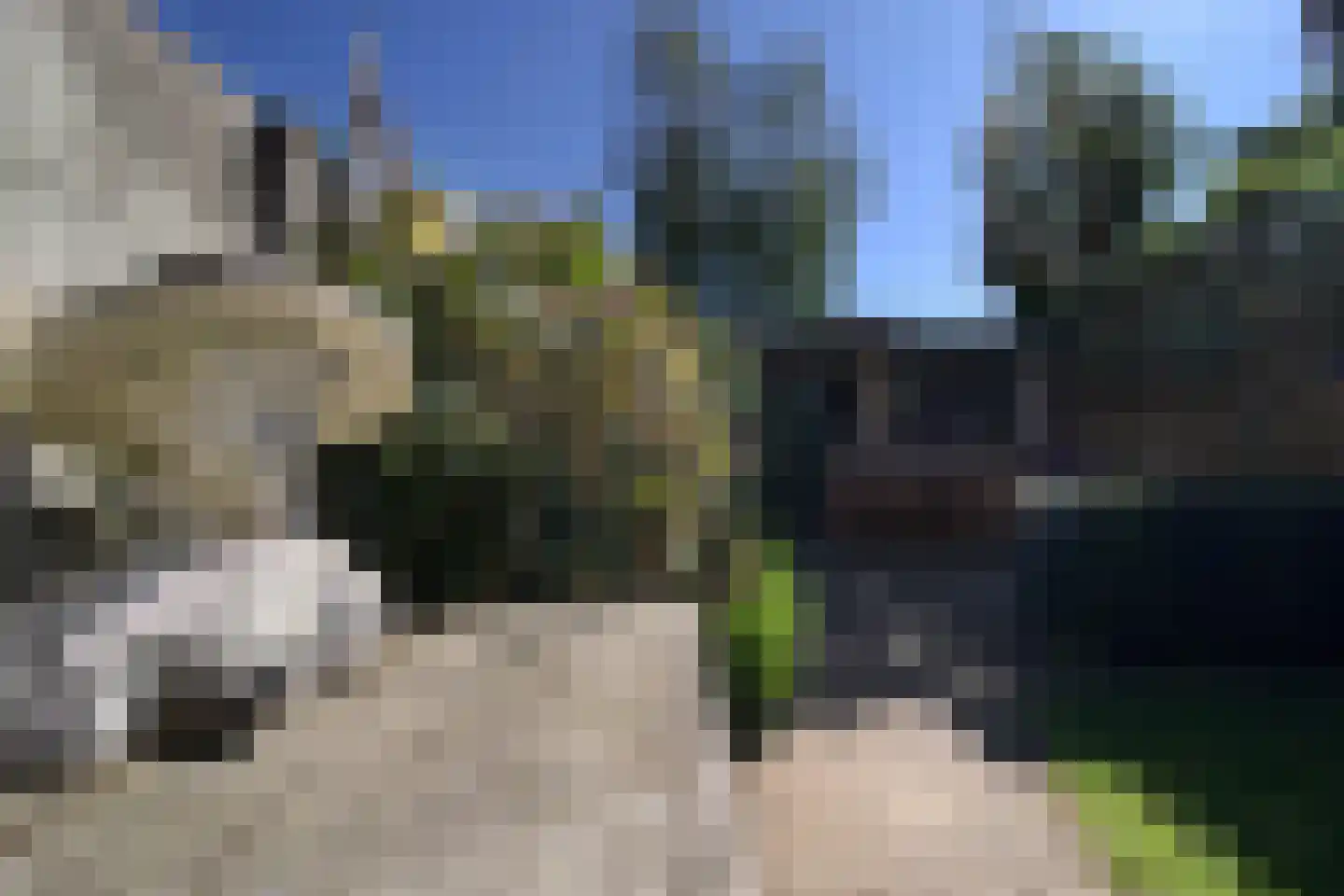 Korenbloemstraat 56 Tilburg thumbnail 39
