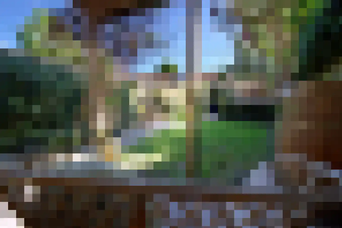 Korenbloemstraat 56 Tilburg thumbnail 41