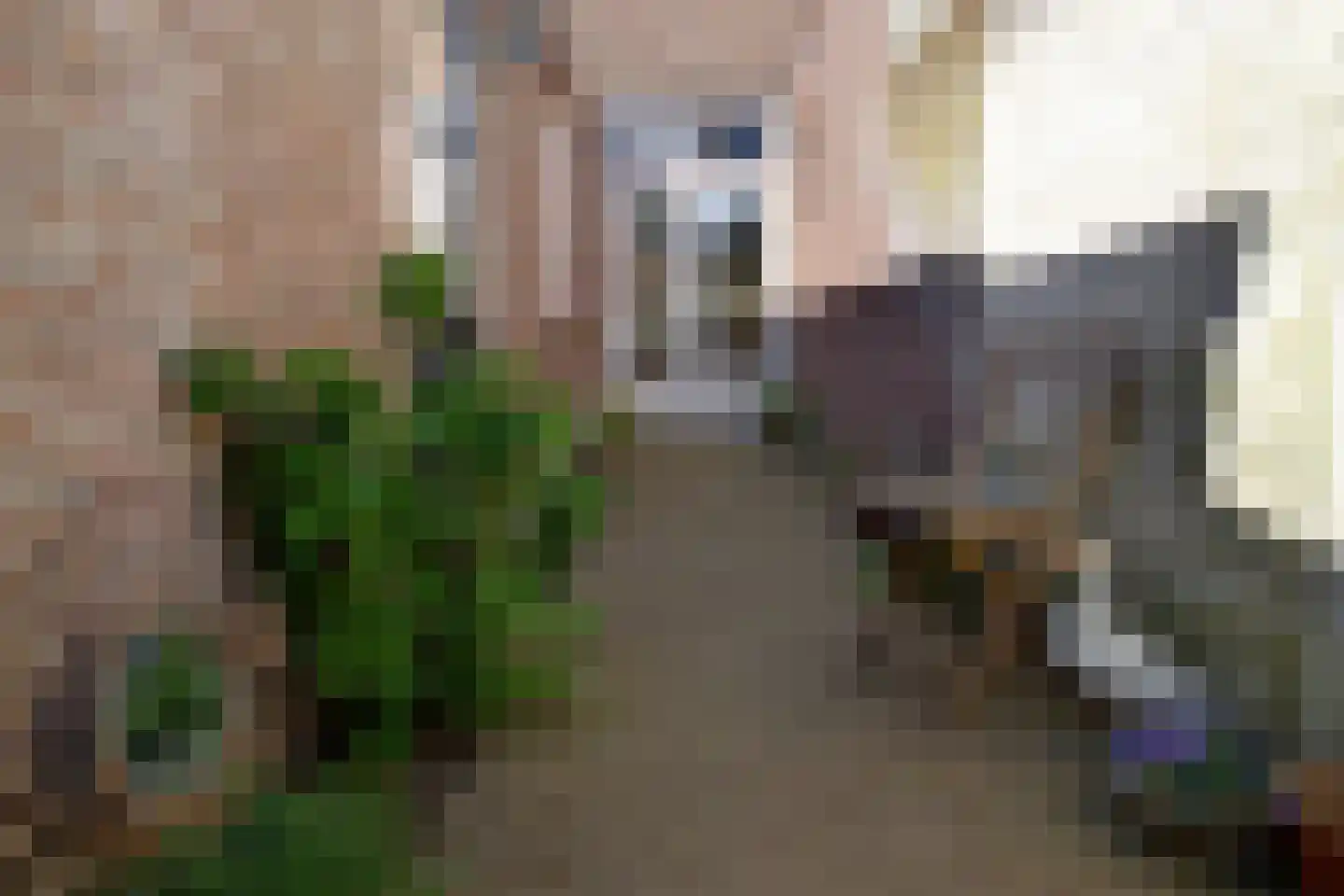 Korenbloemstraat 56 Tilburg thumbnail 42