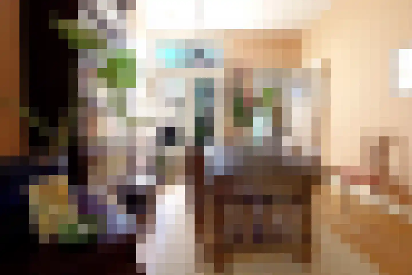 Korenbloemstraat 56 Tilburg thumbnail 7