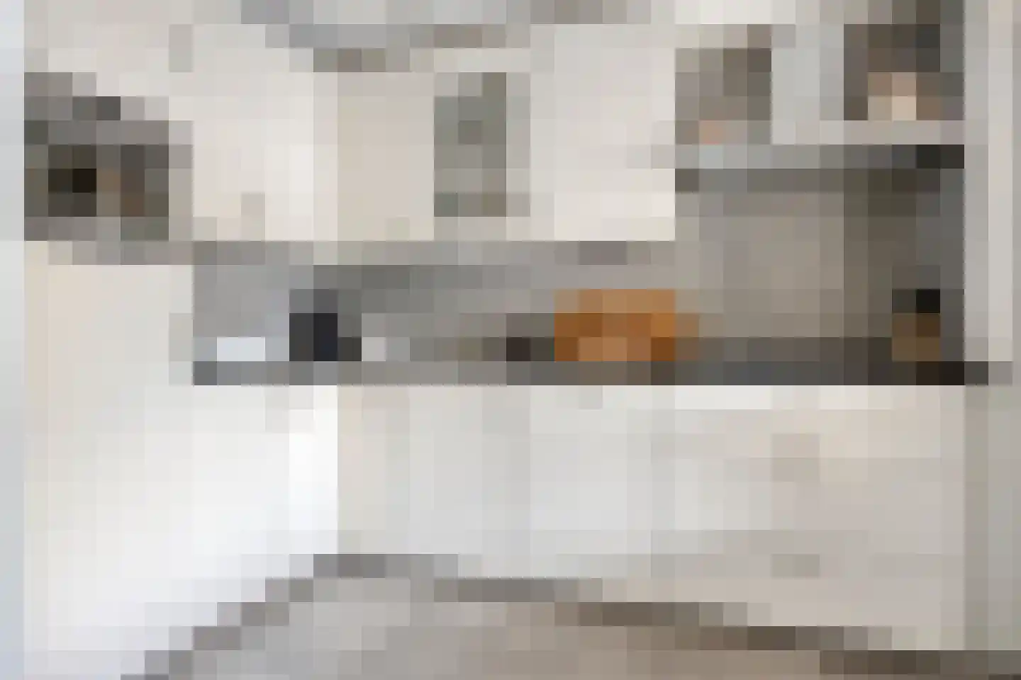 Korenbloemstraat 58 Stolwijk thumbnail 14