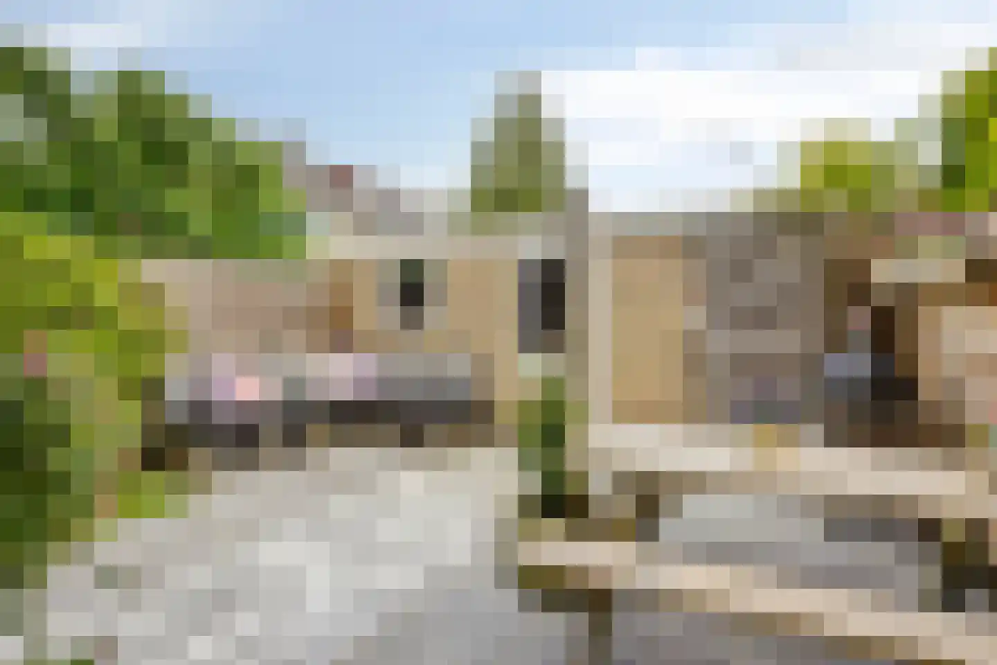 Korenbloemstraat 58 Stolwijk thumbnail 36
