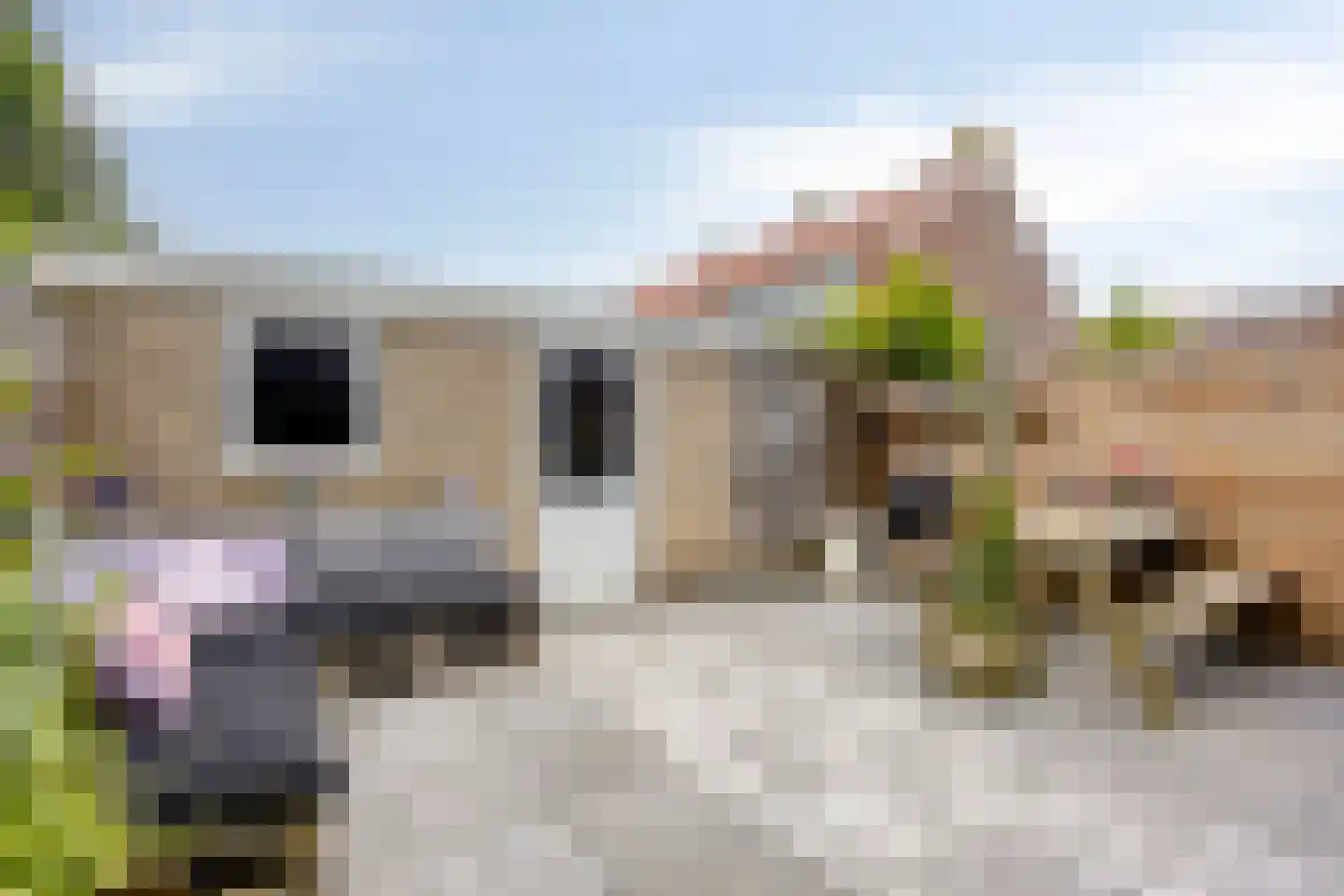 Korenbloemstraat 58 Stolwijk thumbnail 37