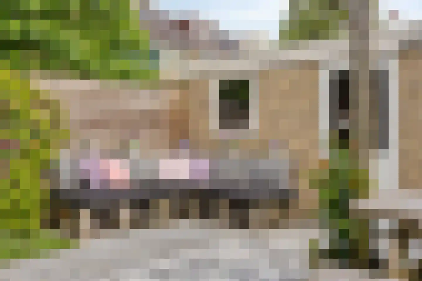 Korenbloemstraat 58 Stolwijk thumbnail 39
