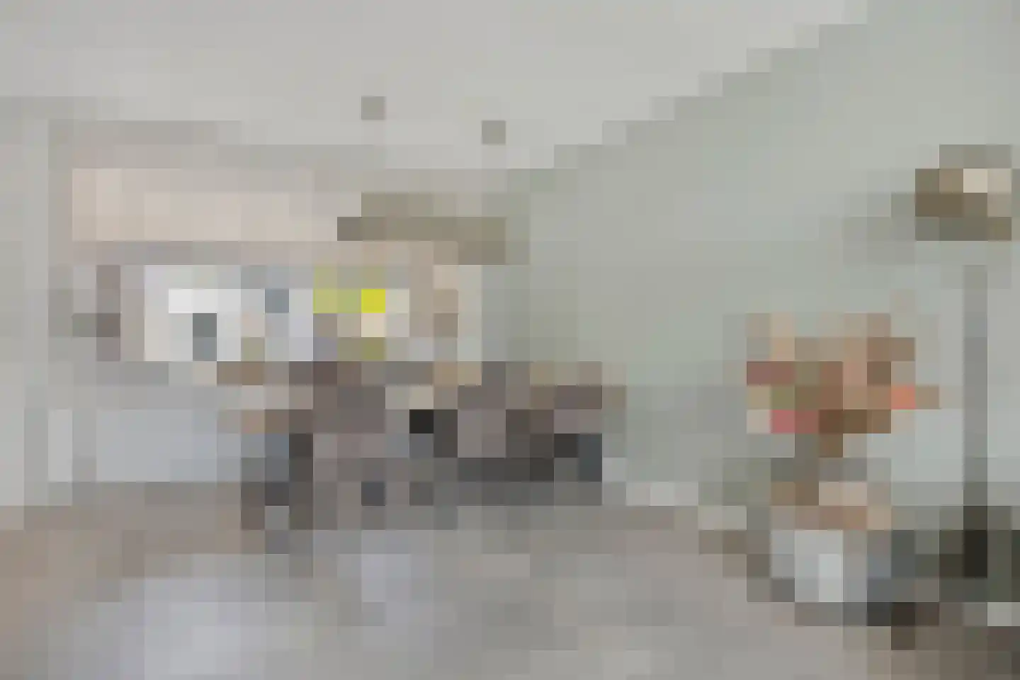 Korenbloemstraat 58 Stolwijk thumbnail 9