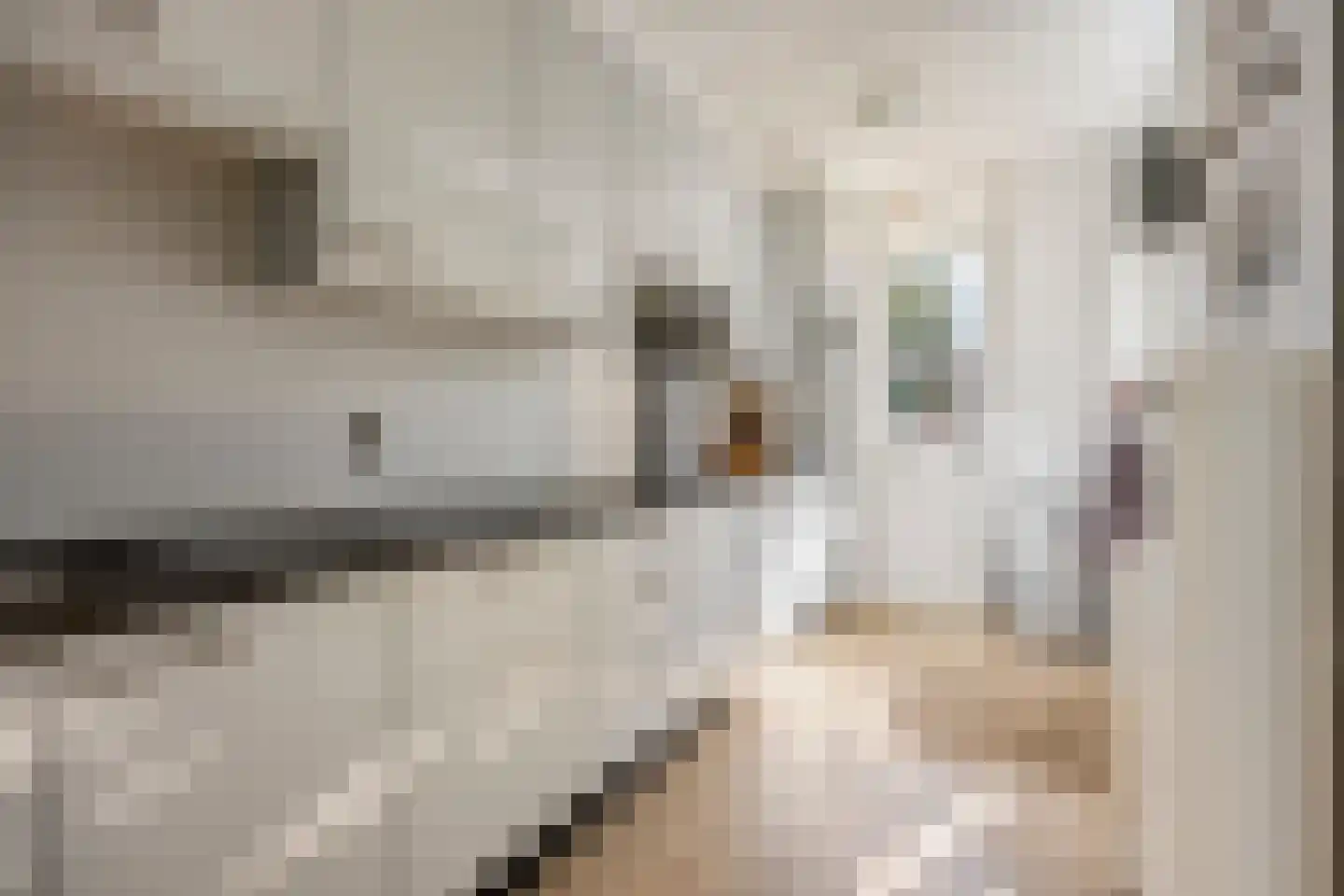 Korenbloemstraat 59 Stolwijk thumbnail 13
