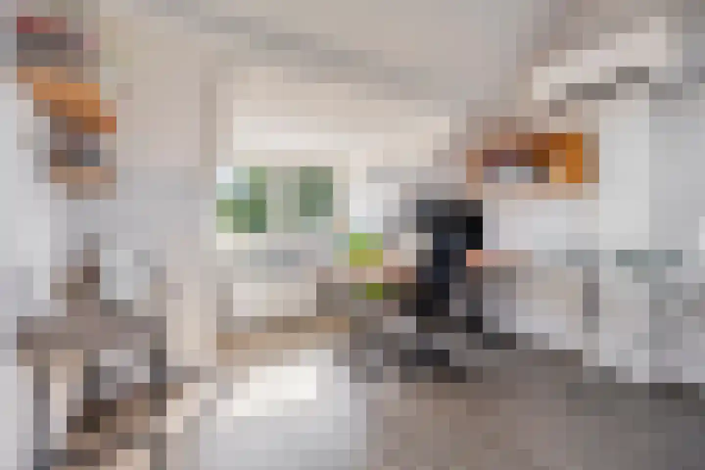 Korenbloemstraat 59 Stolwijk thumbnail 30