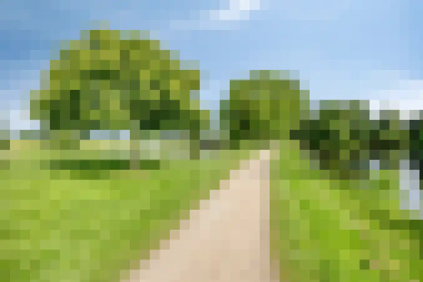 Korenbloemstraat 59 Stolwijk thumbnail 38