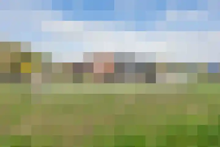 Korenbloemstraat 6 Berkel-Enschot thumbnail 34