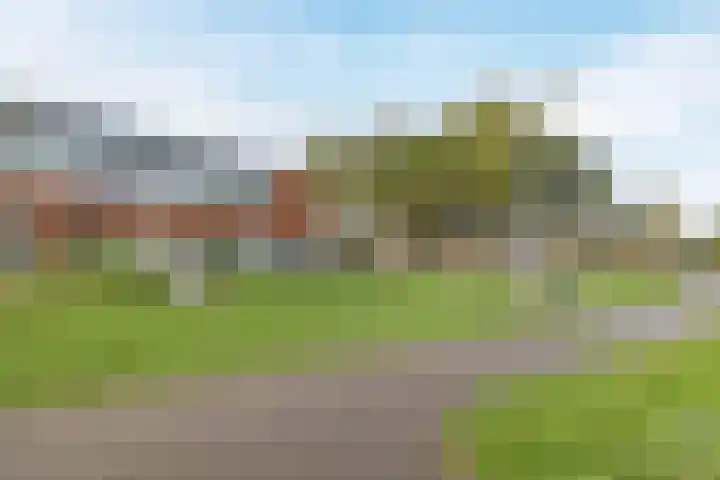 Korenbloemstraat 6 Berkel-Enschot thumbnail 35