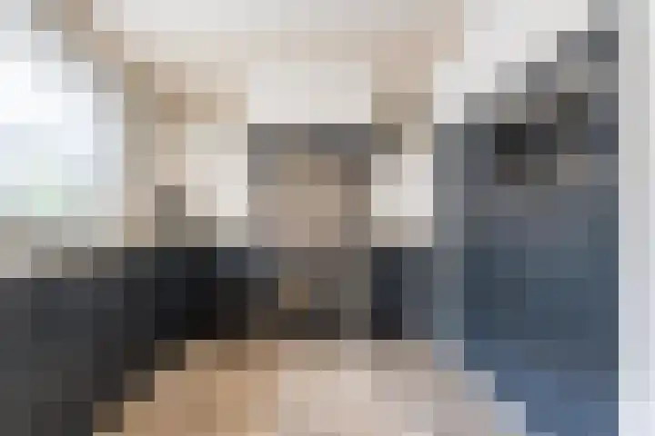 Korenbloemstraat 6 Haps thumbnail 10