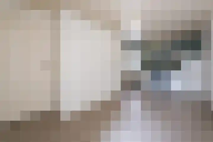 Korenbloemstraat 6 Haps thumbnail 11