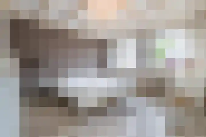 Korenbloemstraat 6 Haps thumbnail 13