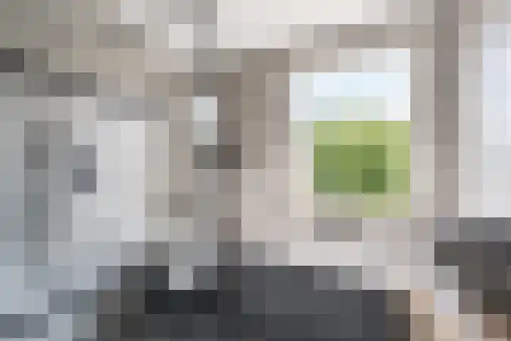 Korenbloemstraat 6 Haps thumbnail 16