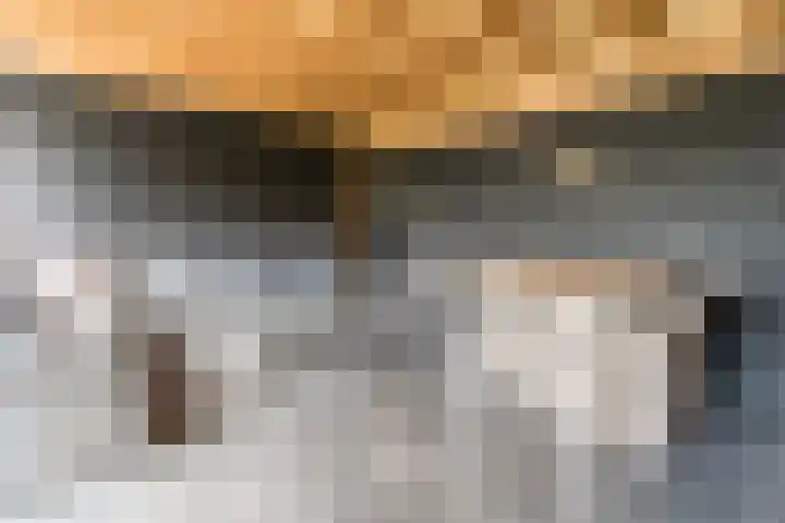 Korenbloemstraat 6 Haps thumbnail 24