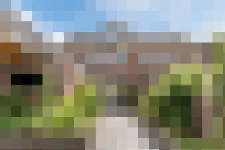 Korenbloemstraat 6 Haps thumbnail 25