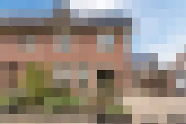 Korenbloemstraat 6 Haps thumbnail 30