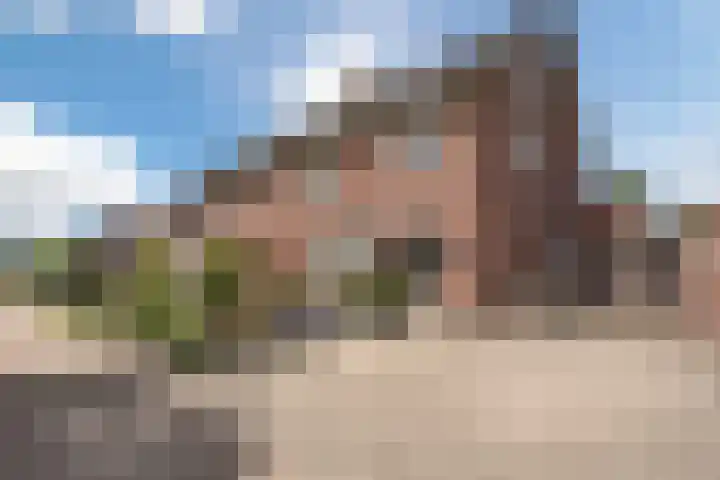 Korenbloemstraat 6 Haps thumbnail 4
