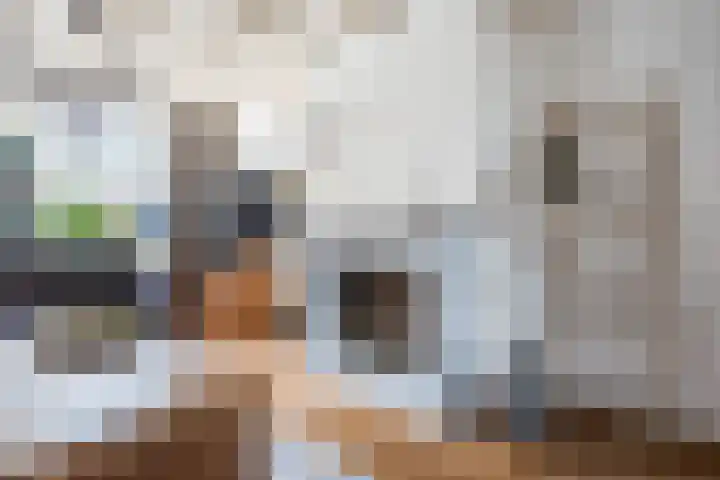 Korenbloemstraat 6 Haps thumbnail 7