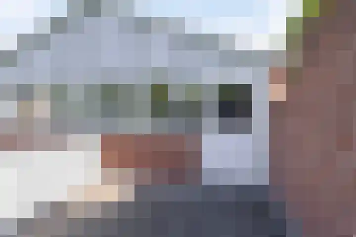 Korenbloemstraat 6 Hengelo thumbnail 26