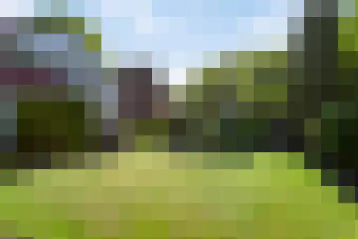 Korenbloemstraat 6 Hengelo thumbnail 27