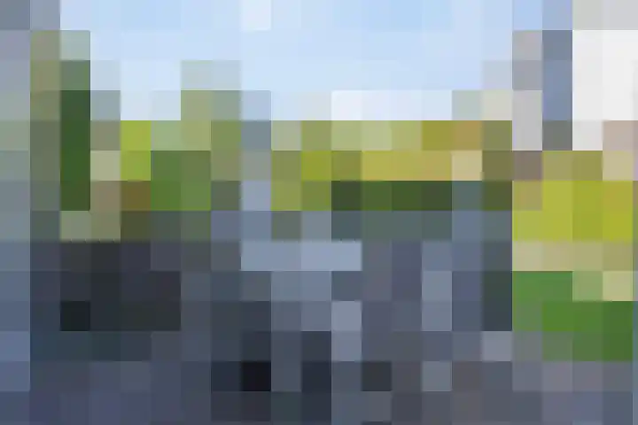 Korenbloemstraat 6 Hengelo thumbnail 29